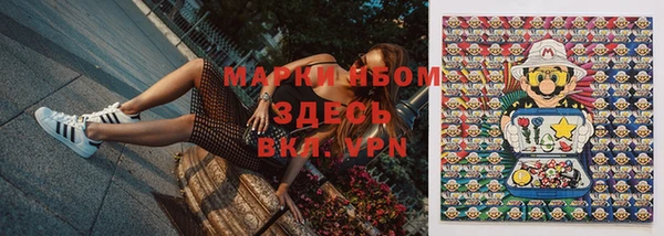 амф Козловка