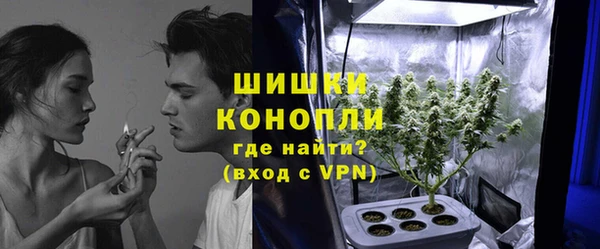 амф Козловка