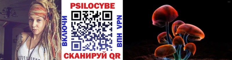 Купить  Зверево  Псилоцибиновые грибы Psilocybine cubensis 